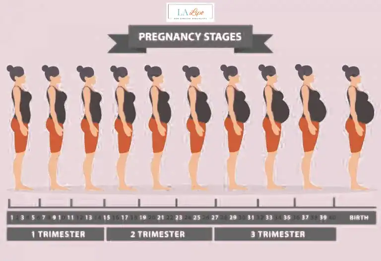 First Trimester (Weeks 1–12): Early Changes You Might Not Notice Thatcham